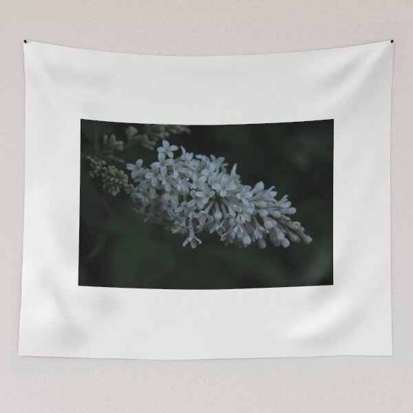 Item preview, Gooseneck Loosestrife designed and sold by Nyx190Photos.