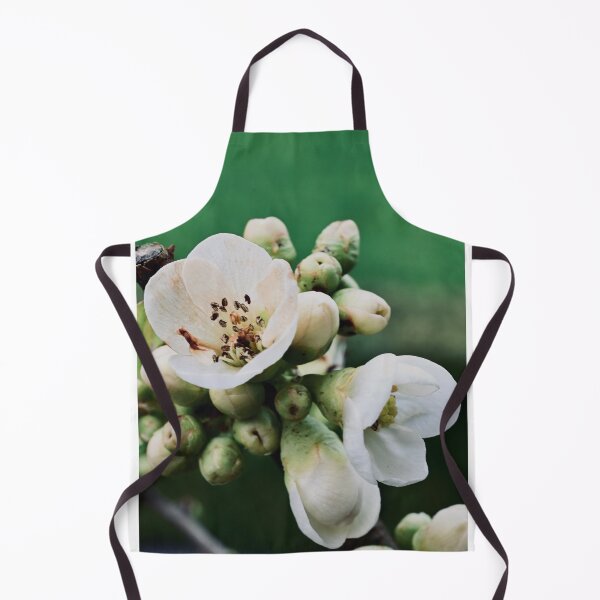 Item preview, Japanese Quince designed and sold by AmbarVioletArt.