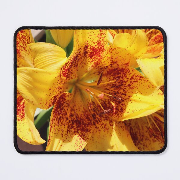 Item preview, Asian Lily designed and sold by kenkortner.