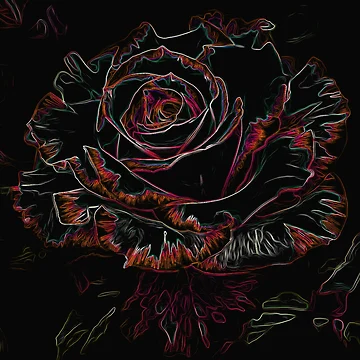 Artwork thumbnail, DARK ROSE by BOLLA67