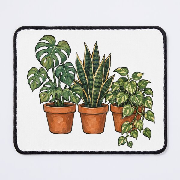 Item preview, Cozy Houseplant Trio Monstera Snake Plant Pothos designed and sold by eignvalue.