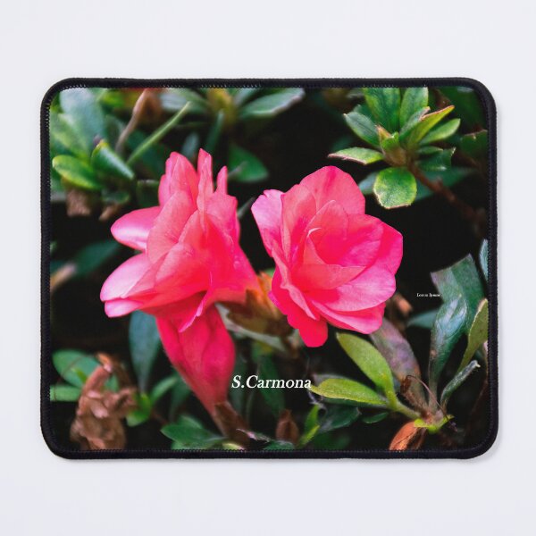 Item preview, Australian Flower - Azalea designed and sold by AuraInkSC.