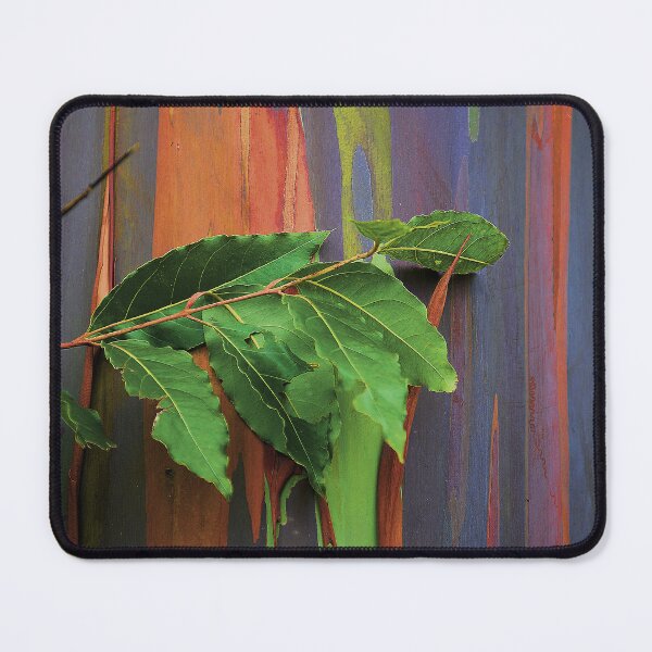Item preview, Tropical Island Rainbow Spectacular Eucalyptus Tree Bark Close-Up designed and sold by DEC02.