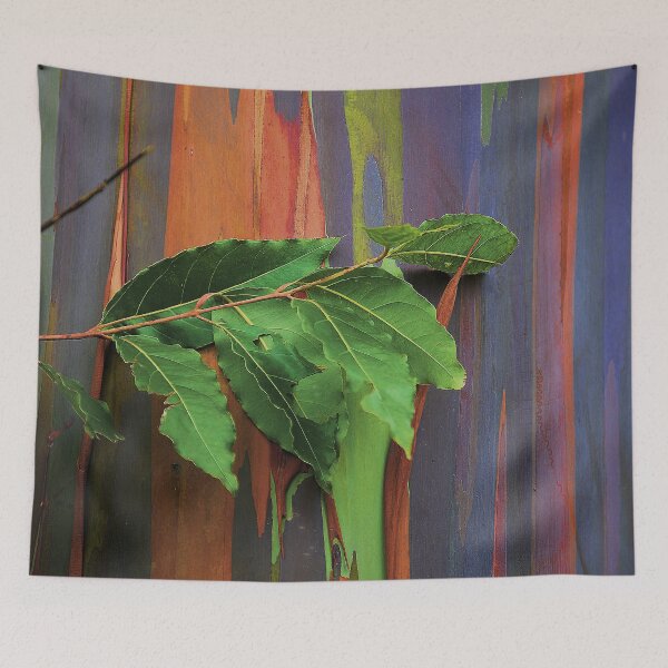 Item preview, Tropical Island Rainbow Spectacular Eucalyptus Tree Bark Close-Up designed and sold by DEC02.