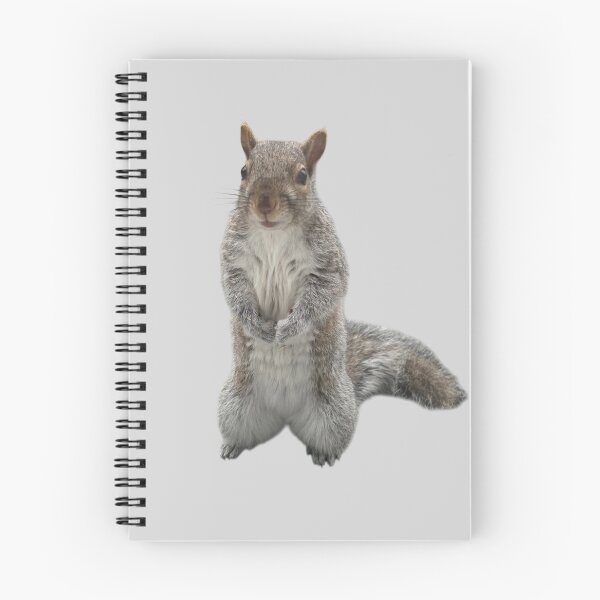 Item preview, Squirrel designed and sold by ArtByKevG.