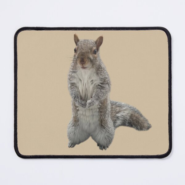 Item preview, Squirrel designed and sold by ArtByKevG.
