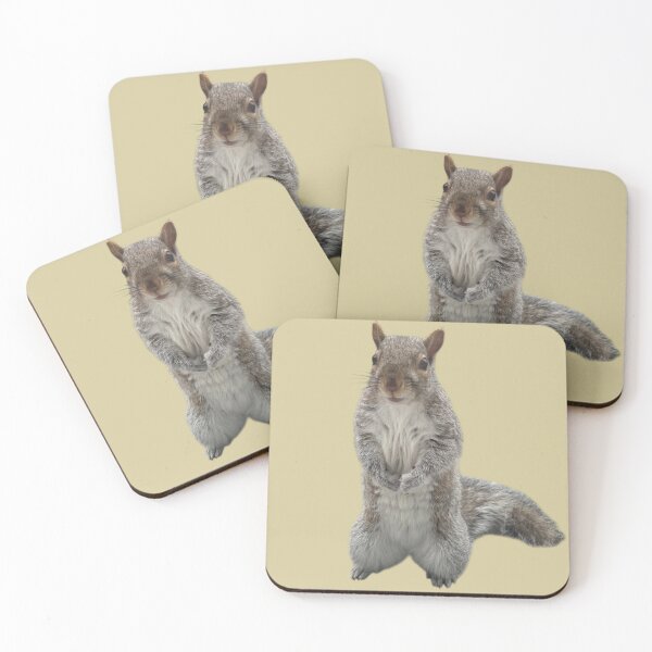 Item preview, Squirrel designed and sold by ArtByKevG.