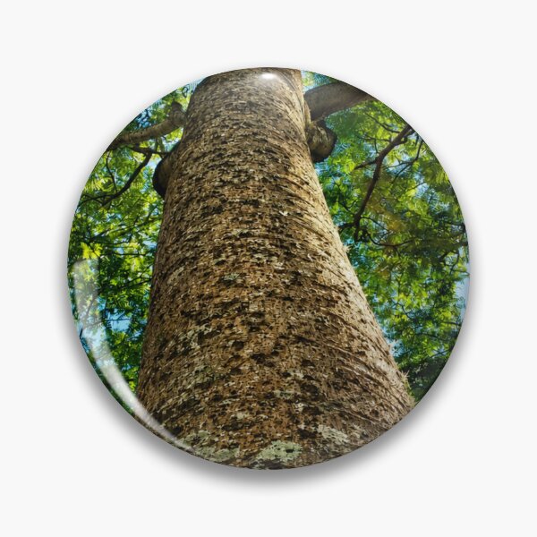 Item preview, Rustic Woodland Tree Fine Art Print designed and sold by NaileyCreative.