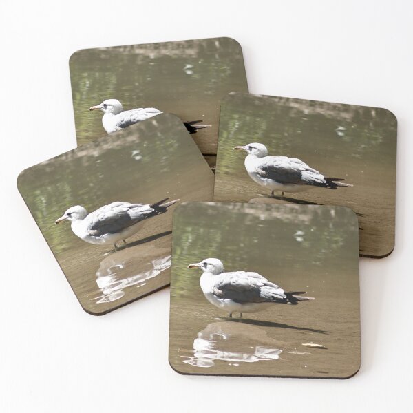 Item preview, Gaviota de pie en el estanque designed and sold by WilesNailsPower.