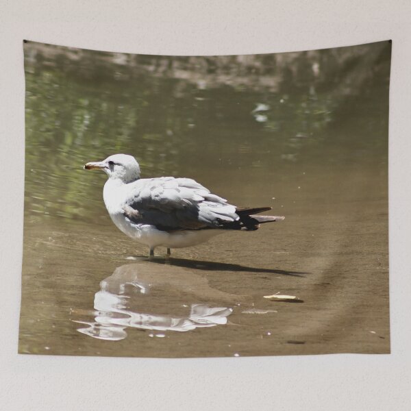 Item preview, Seagull Standing in Pond designed and sold by WilesTheFox.