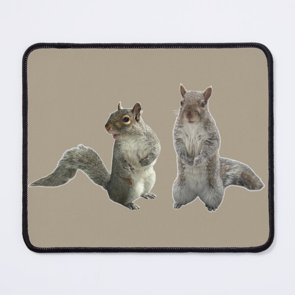 Item preview, Squirrels designed and sold by ArtByKevG.