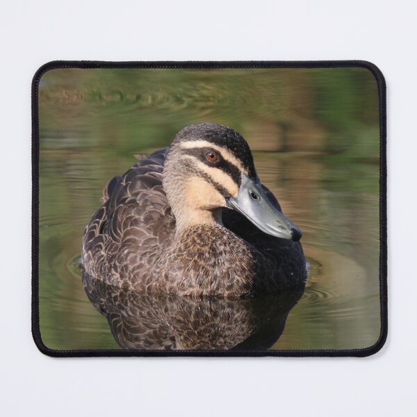 Item preview, Australian Pacific Black Duck on Water designed and sold by 27Tammy27.