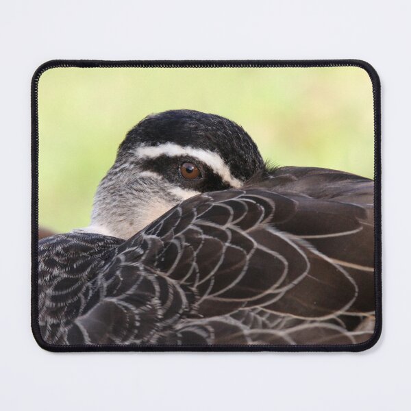 Item preview, Pacific Black Duck Bird Portrait Close Up designed and sold by 27Tammy27.