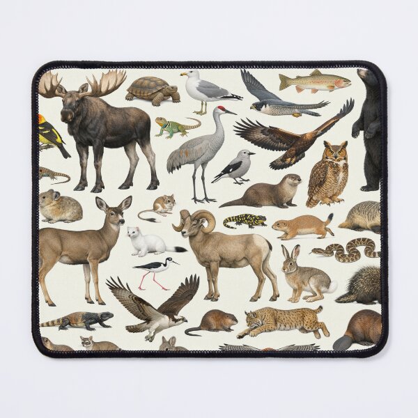 Item preview, Animals of Utah Retro Style Identification Chart designed and sold by kakarikihill.