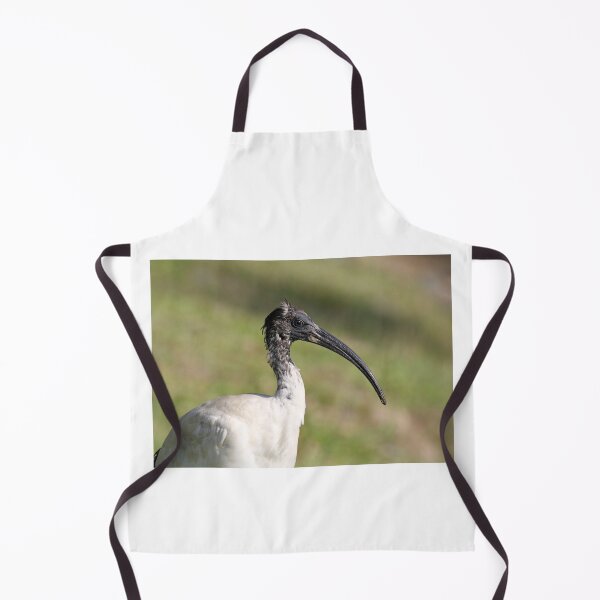Item preview, Australian White Ibis Close Up Portrait designed and sold by 27Tammy27.