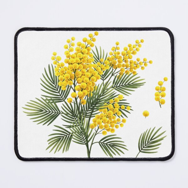 Item preview, Blooming Mimosa Botanical Illustration designed and sold by PixorStudio.