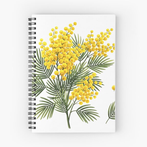 Item preview, Blooming Mimosa Botanical Illustration designed and sold by PixorStudio.