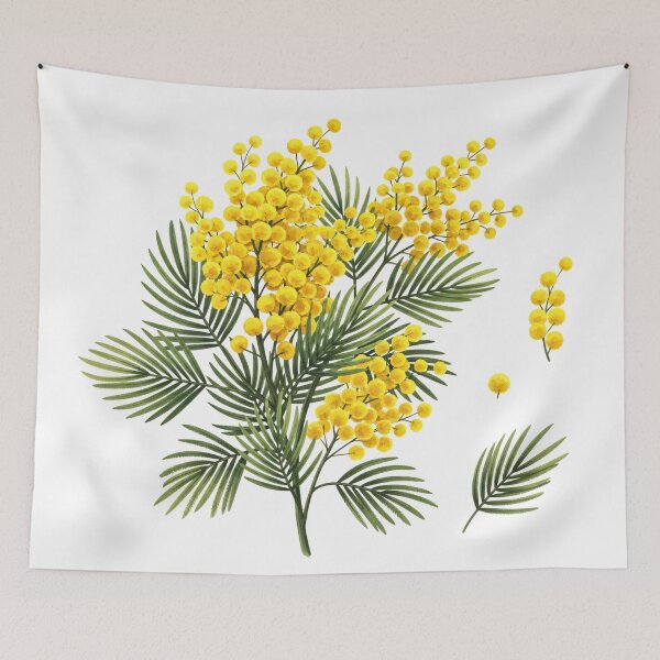 Item preview, Blooming Mimosa Botanical Illustration designed and sold by PixorStudio.