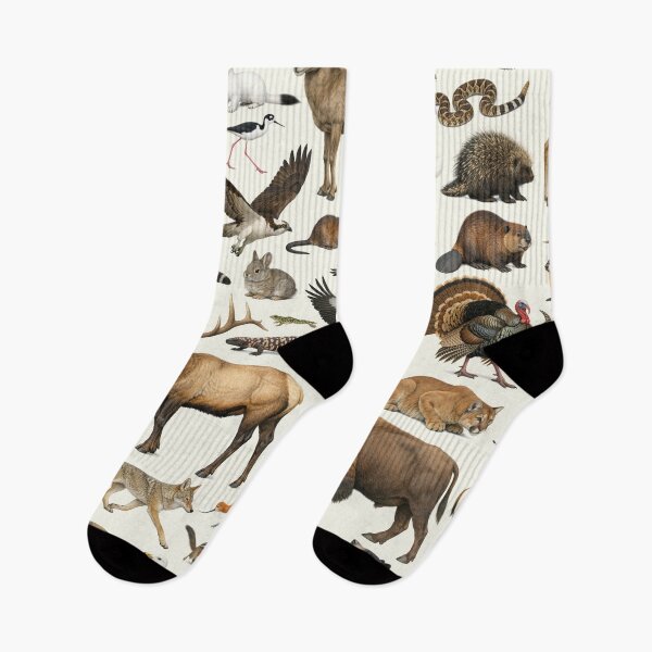 Item preview, Animals of Utah Retro Style Identification Chart designed and sold by kakarikihill.