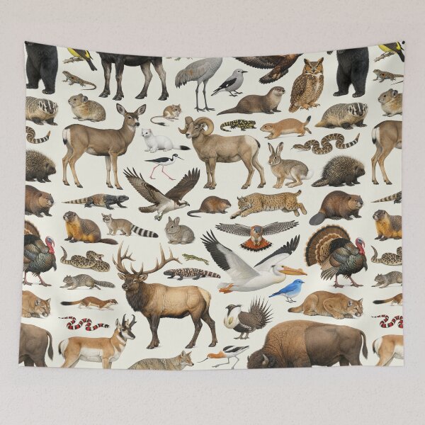 Item preview, Animals of Utah Retro Style Identification Chart designed and sold by kakarikihill.