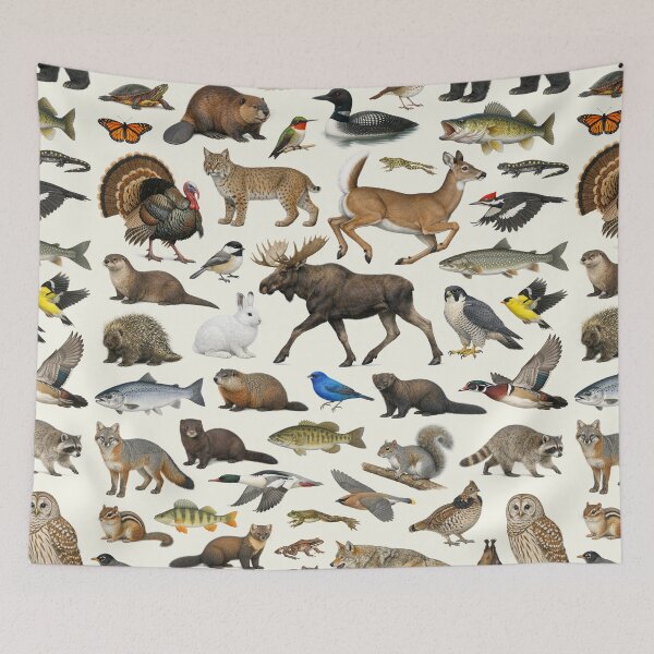 Item preview, Animals of Vermont Retro Style Identification Chart designed and sold by kakarikihill.