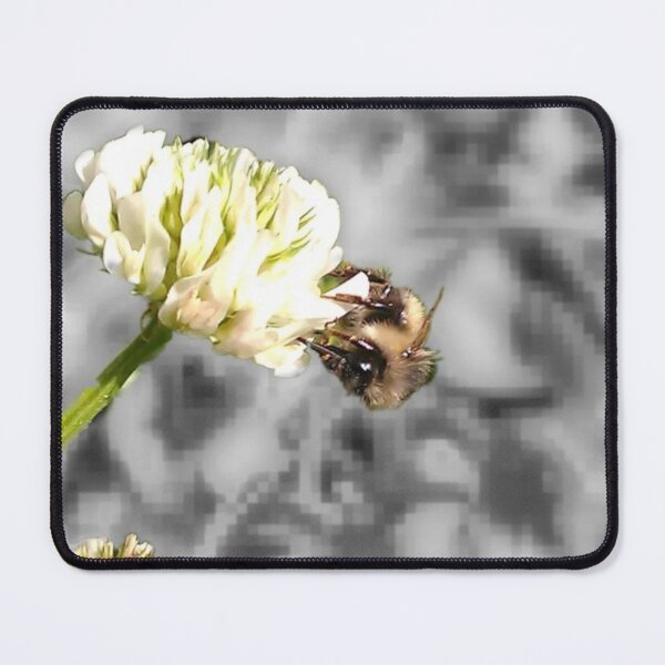 Item preview, A bee on Clover designed and sold by swrs.