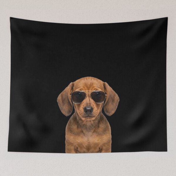 Item preview, Cute Baby Dachshund Wearing Sunglasses Funny designed and sold by RareLavender.