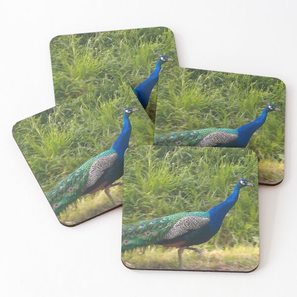 Item preview, Peacock designed and sold by swrs.