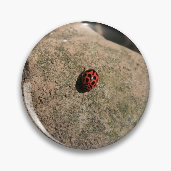 Item preview, Lady Bug designed and sold by AmbarVioletArt.