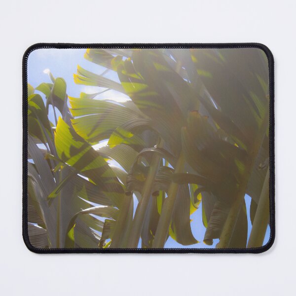 Item preview, Soft Refractions designed and sold by Blancotography.