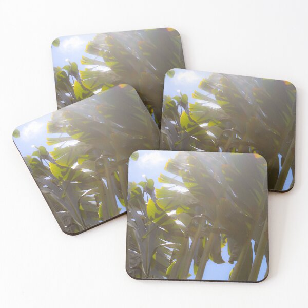 Item preview, Soft Refractions designed and sold by Blancotography.