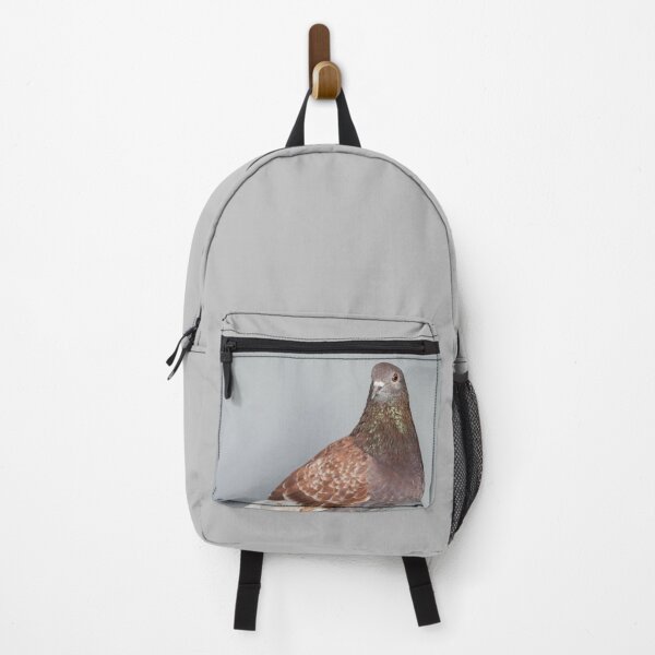 Item preview, Brown Pigeon Portrait on Grey Background designed and sold by pigeonlovrs.