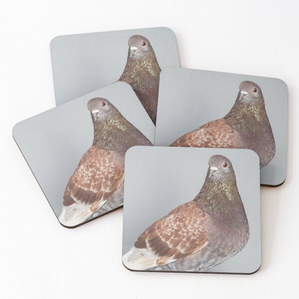 Item preview, Brown Pigeon Portrait on Grey Background designed and sold by pigeonlovrs.