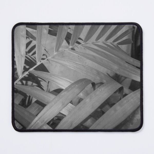 Item preview, B&W - Outdoor Palm designed and sold by ROSE ANN BANILAR.