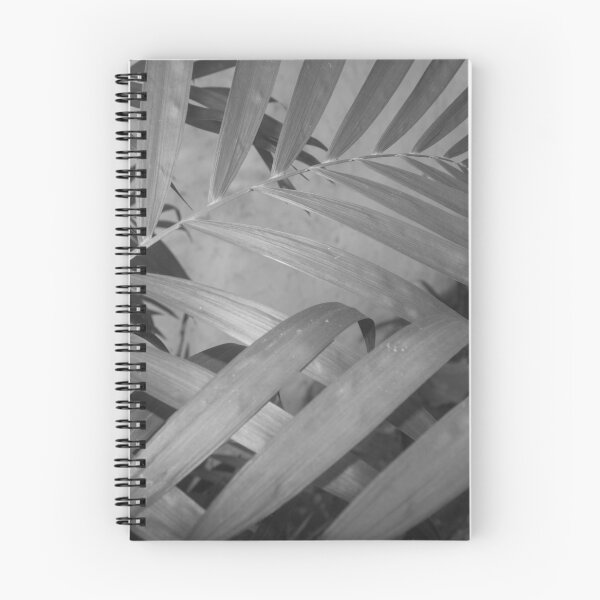 Item preview, B&W - Outdoor Palm designed and sold by ROSE ANN BANILAR.
