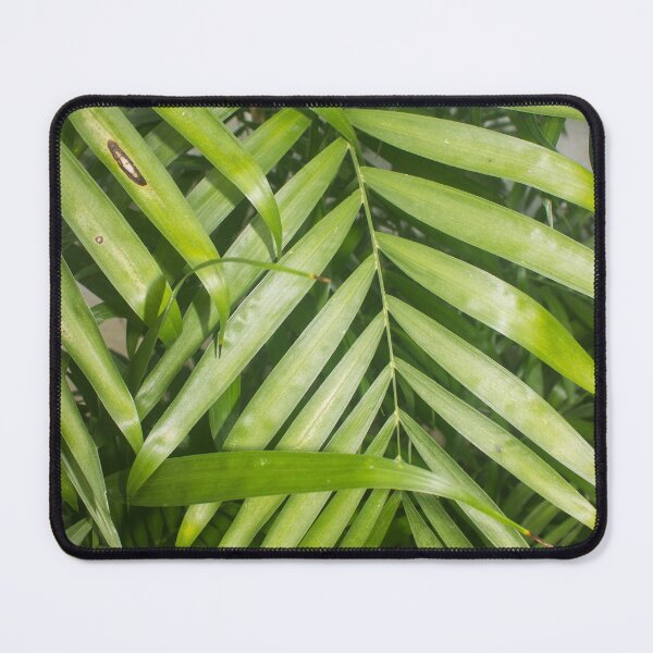 Item preview, Indoor Palm  designed and sold by ROSE ANN BANILAR.