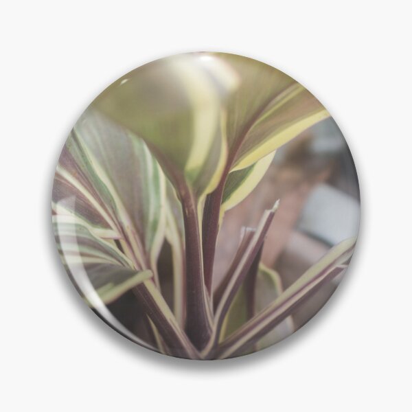 Item preview, Ti Plant_02 designed and sold by ROSE ANN BANILAR.