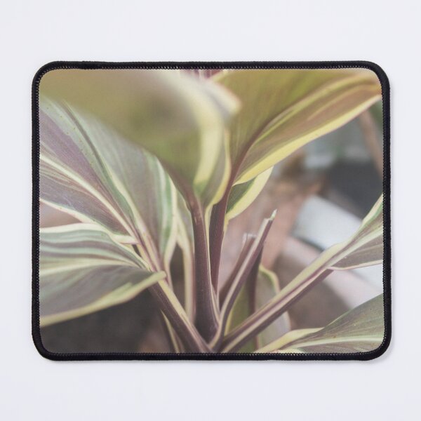 Item preview, Ti Plant_02 designed and sold by ROSE ANN BANILAR.