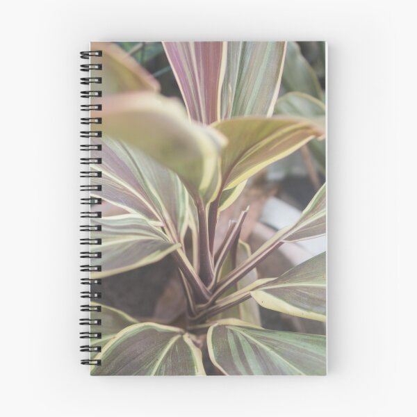 Item preview, Ti Plant_02 designed and sold by ROSE ANN BANILAR.