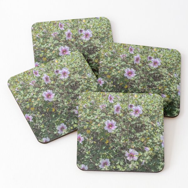 Item preview, Lavatera trimestris blooming in the sunshine designed and sold by gaohao1.