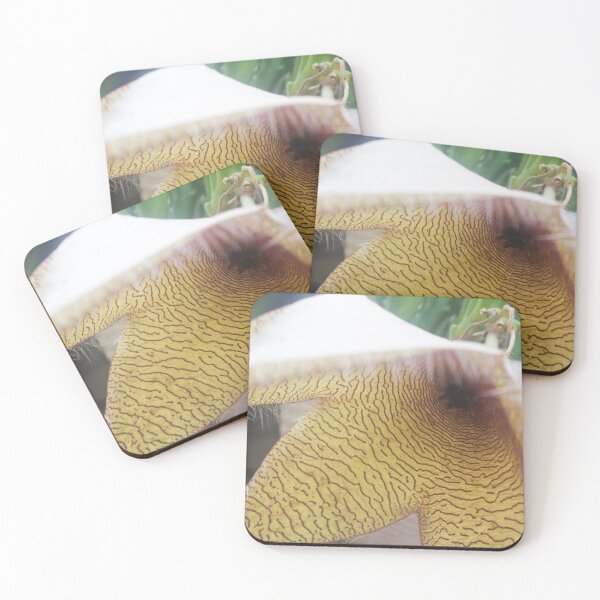 Item preview, Stapelia gigantea_02 designed and sold by ROSE ANN BANILAR.