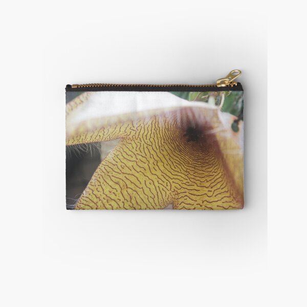 Item preview, Stapelia gigantea_02 designed and sold by ROSE ANN BANILAR.