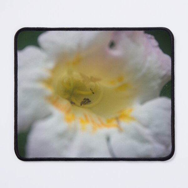 Item preview, Insects Inside designed and sold by ROSE ANN BANILAR.