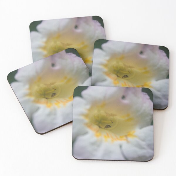Item preview, Insects Inside designed and sold by ROSE ANN BANILAR.