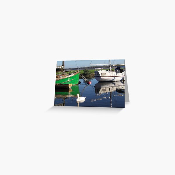 SWAN ON CANAL Greeting Card