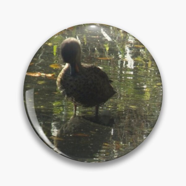 Item preview, Ducks relecting in the water designed and sold by aligata1970.