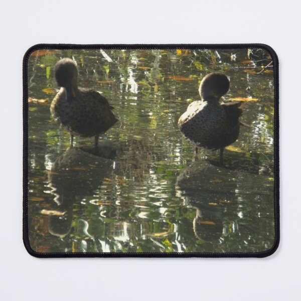 Item preview, Ducks relecting in the water designed and sold by aligata1970.