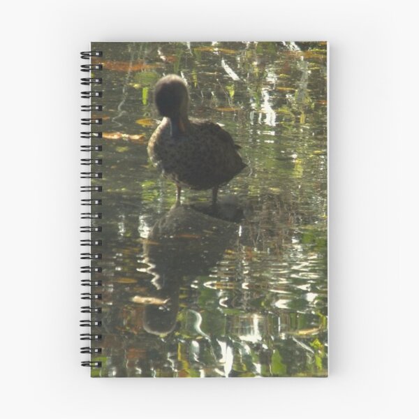 Item preview, Ducks relecting in the water designed and sold by aligata1970.