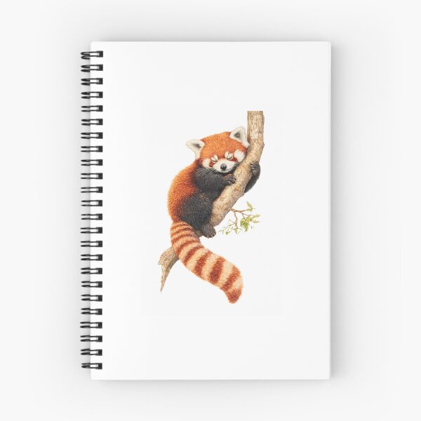Item preview, Red Panda sleeping on a branch designed and sold by The Art of Nate.
