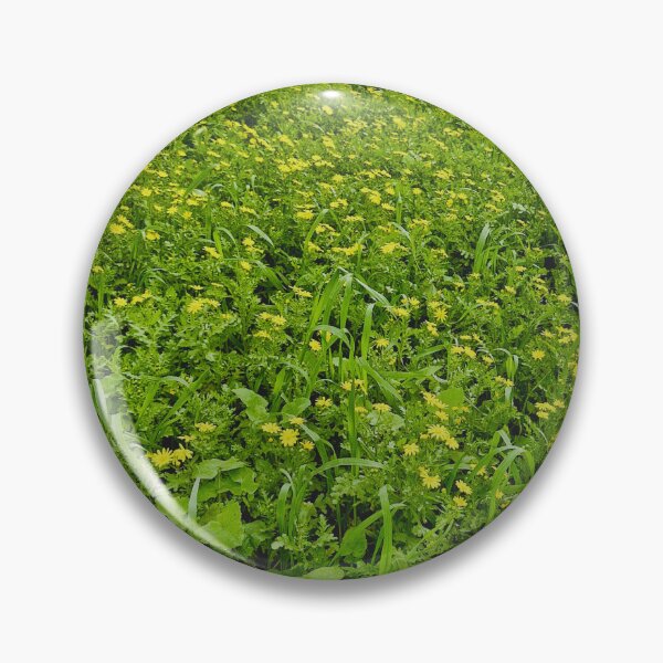 Item preview, spring bloom, eastern groundsel designed and sold by Lunar-Dragon.